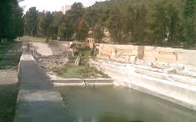 برك سليمان/ أرطاس